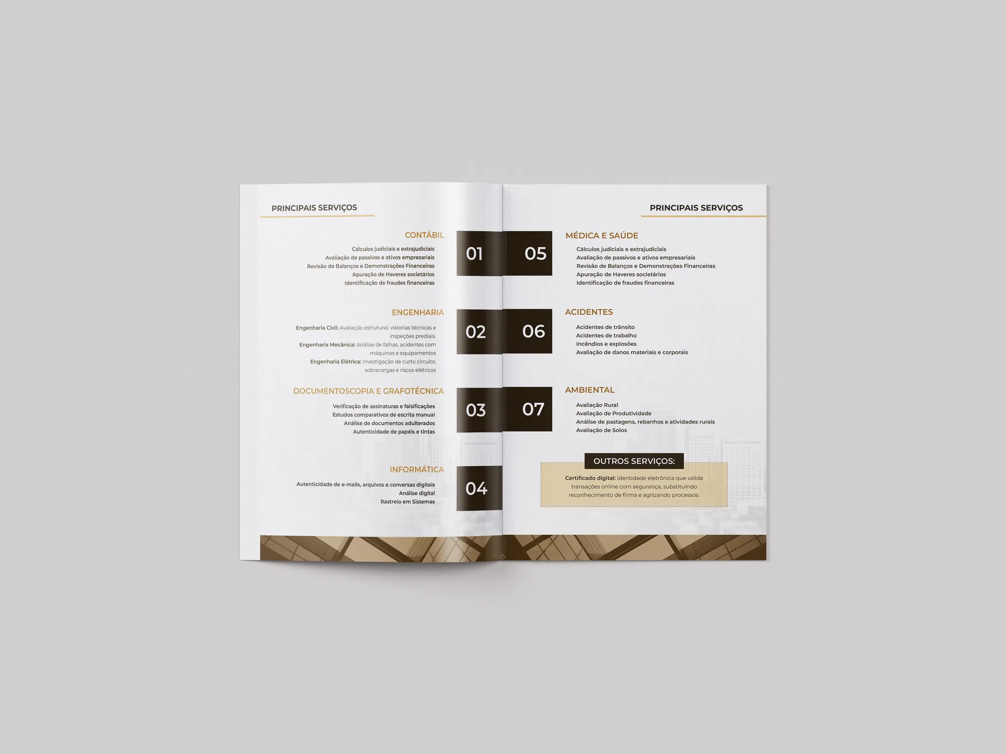 Revista Experts